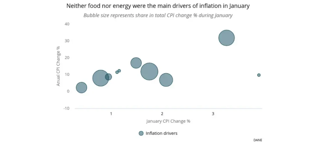 Neither food nor energy were the main drivers of inflation in January